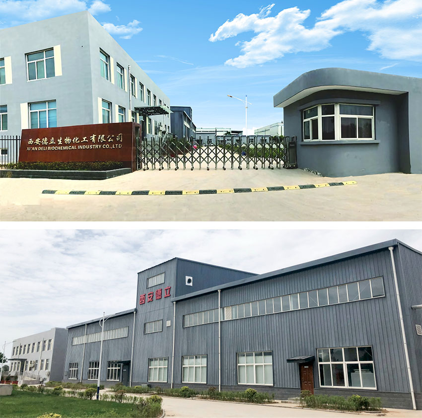 Xi'an Deli Biochemical Industry Co., Ltd.: Ledende innovation inden for cyclodextrinderivater, der giver den farmaceutiske industri mulighed for at styrke den farmaceutiske industri